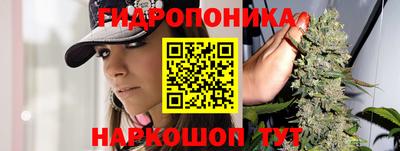 эйфоретик Абинск