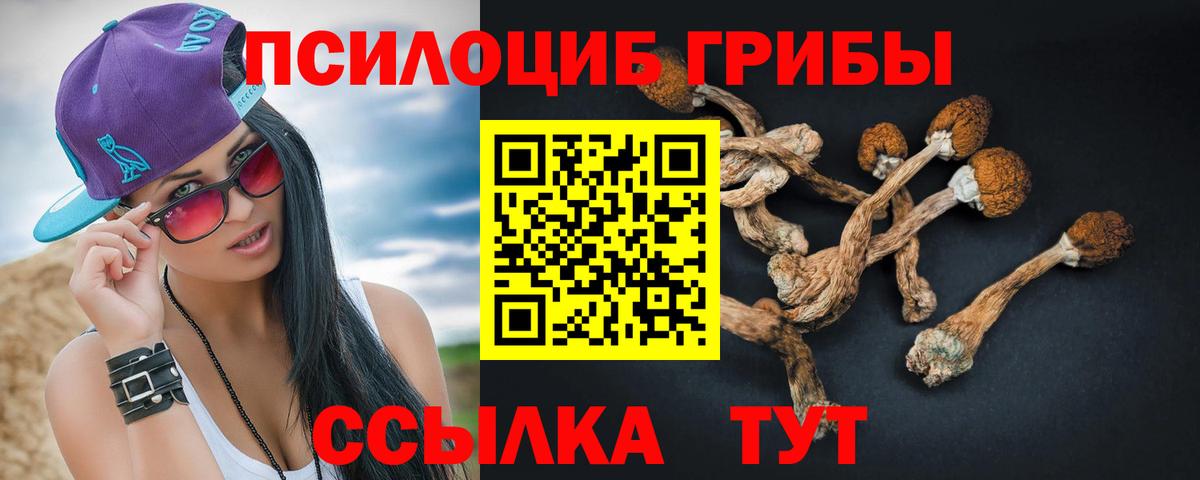Псилоцибиновые грибы Psilocybe Алушта