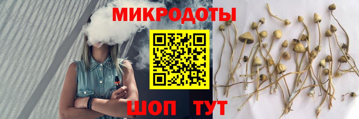 Алушта  Псилоцибиновые грибы мухоморы  Вход с VPN 
